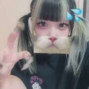 ヒメ日記 2026/07/12 20:56 投稿 むむ IRIS(岐阜)