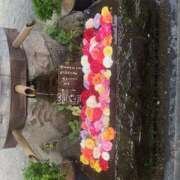 ヒメ日記 2025/06/01 17:57 投稿 ゆい 花影（かえい）