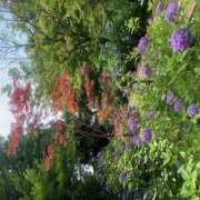 ヒメ日記 2025/06/20 17:52 投稿 ゆい 花影（かえい）