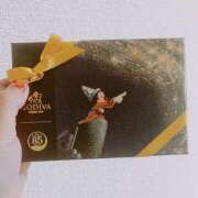 ヒメ日記 2025/12/13 18:06 投稿 ゆい 花影（かえい）