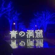 ヒメ日記 2025/12/15 16:47 投稿 ゆい 花影（かえい）