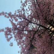 ゆい お礼💌 花影（かえい）