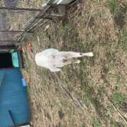 ヒメ日記 2026/02/28 16:35 投稿 ゆい 花影（かえい）