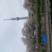 ゆい 昨日のお礼💌 花影（かえい）