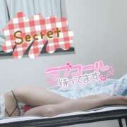 ヒメ日記 2024/12/21 12:26 投稿 マヒロ Picasso(ピカソ)