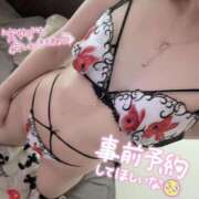 ヒメ日記 2025/01/01 09:22 投稿 マヒロ Picasso(ピカソ)