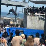 ヒメ日記 2025/02/07 21:56 投稿 マヒロ Picasso(ピカソ)