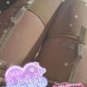 ヒメ日記 2025/02/16 17:17 投稿 マヒロ Picasso(ピカソ)