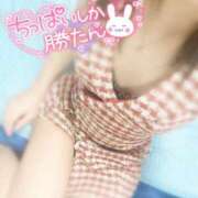 ヒメ日記 2025/03/28 11:01 投稿 マヒロ Picasso(ピカソ)