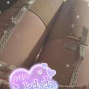 ヒメ日記 2025/04/07 11:07 投稿 マヒロ Picasso(ピカソ)