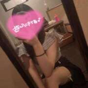 ヒメ日記 2025/04/11 10:46 投稿 マヒロ Picasso(ピカソ)