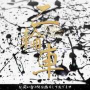 ヒメ日記 2025/04/17 10:07 投稿 マヒロ Picasso(ピカソ)