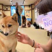 ヒメ日記 2025/05/26 17:46 投稿 マヒロ Picasso(ピカソ)