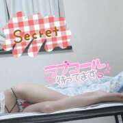 ヒメ日記 2025/06/10 10:06 投稿 マヒロ Picasso(ピカソ)