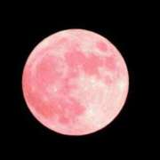 ヒメ日記 2025/06/12 15:07 投稿 マヒロ Picasso(ピカソ)