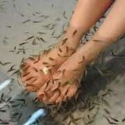 ヒメ日記 2025/06/23 13:16 投稿 マヒロ Picasso(ピカソ)