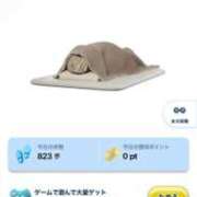 ヒメ日記 2025/07/12 10:12 投稿 マヒロ Picasso(ピカソ)