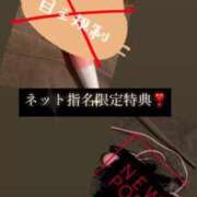 ヒメ日記 2025/07/17 10:36 投稿 マヒロ Picasso(ピカソ)