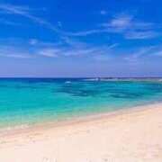 ヒメ日記 2025/07/25 14:47 投稿 マヒロ Picasso(ピカソ)