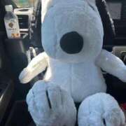 ヒメ日記 2025/07/29 14:06 投稿 マヒロ Picasso(ピカソ)