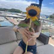 ヒメ日記 2025/08/13 11:26 投稿 マヒロ Picasso(ピカソ)