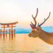 ヒメ日記 2025/08/16 10:16 投稿 マヒロ Picasso(ピカソ)