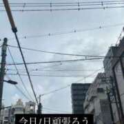 ヒメ日記 2025/08/17 12:10 投稿 マヒロ Picasso(ピカソ)