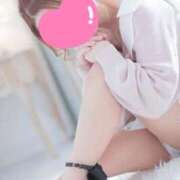 ヒメ日記 2026/02/14 16:57 投稿 マヒロ 熊本ピカソ