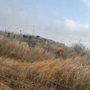 ヒメ日記 2026/02/16 10:13 投稿 マヒロ 熊本ピカソ