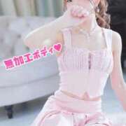 ヒメ日記 2026/02/19 21:20 投稿 マヒロ 熊本ピカソ