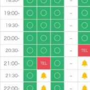 ヒメ日記 2026/02/21 18:24 投稿 マヒロ 熊本ピカソ