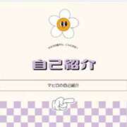 ヒメ日記 2026/02/25 21:17 投稿 マヒロ 熊本ピカソ