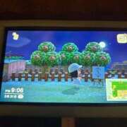 ヒメ日記 2026/03/31 22:20 投稿 マヒロ 熊本ピカソ