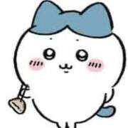 ヒメ日記 2026/04/04 10:24 投稿 マヒロ 熊本ピカソ