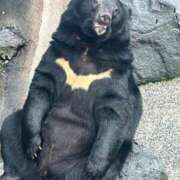 ヒメ日記 2026/04/13 15:43 投稿 マヒロ 熊本ピカソ