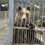 ヒメ日記 2026/04/13 17:13 投稿 マヒロ 熊本ピカソ