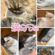 ヒメ日記 2026/07/07 22:23 投稿 マヒロ 熊本ピカソ