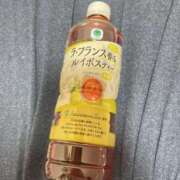 ヒメ日記 2025/02/19 18:54 投稿 はるね 長野権堂更埴ちゃんこ