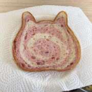 ヒメ日記 2025/03/21 18:02 投稿 はるね 長野権堂更埴ちゃんこ