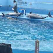 ヒメ日記 2025/03/25 23:08 投稿 はるね 長野権堂更埴ちゃんこ