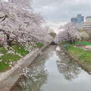 ヒメ日記 2025/04/08 22:18 投稿 はるね 長野権堂更埴ちゃんこ