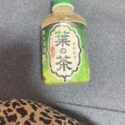 ヒメ日記 2025/06/05 00:18 投稿 はるね 長野権堂更埴ちゃんこ