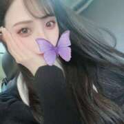 ヒメ日記 2025/04/16 11:44 投稿 麻衣/まい クラブ バレンタイン大阪