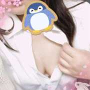 ヒメ日記 2025/04/13 12:53 投稿 まり 丸妻 横浜本店