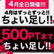 まり 500ポイントまで、ちょいたしイベントを開催しています 丸妻 横浜本店