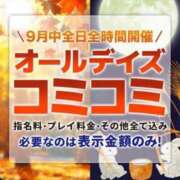 ヒメ日記 2026/09/16 11:42 投稿 まり 丸妻 横浜本店