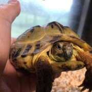 ヒメ日記 2025/01/27 15:03 投稿 あいり 成田人妻花壇