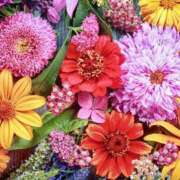 あいり ぐったり 成田人妻花壇