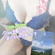 ヒメ日記 2026/07/21 09:49 投稿 みゆ 若妻淫乱倶楽部