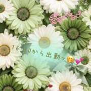ヒメ日記 2026/09/24 12:54 投稿 みゆ 若妻淫乱倶楽部